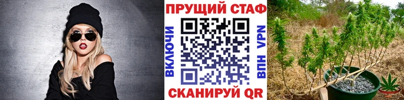 Наркошоп Щигры ГАШ  Метамфетамин  МЕФ  СК 