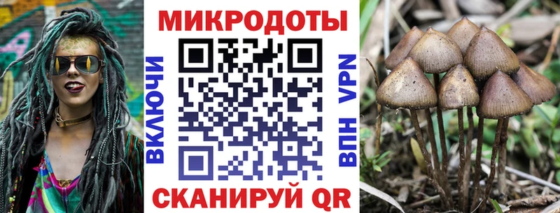 купить  сайты  Щигры  Галлюциногенные грибы GOLDEN TEACHER 